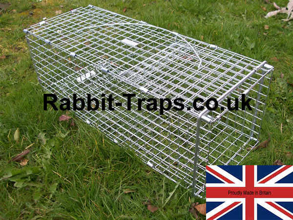 standard rabbit trap