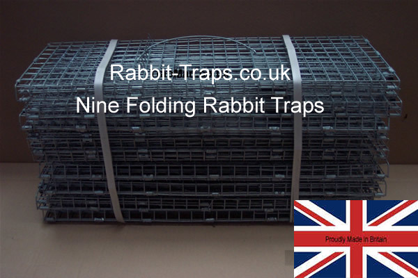 save money and pace buy nine folding rabbit traps | UK made in our own cage works Preston Lancashire