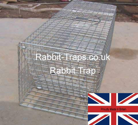 new rabbit trap