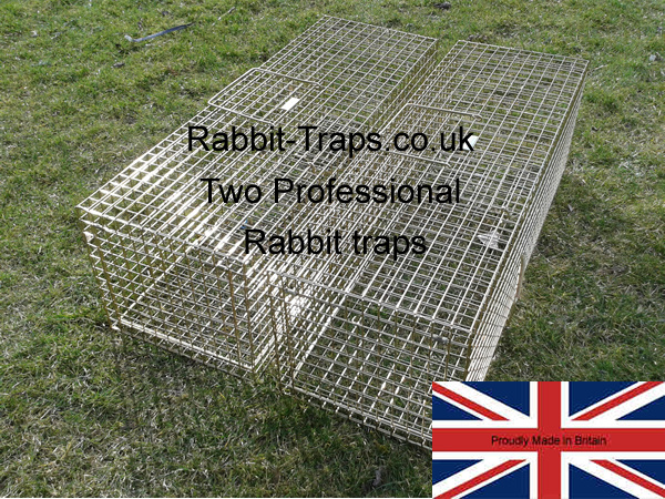two pro rabbit traps